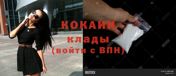 шишки Белокуриха