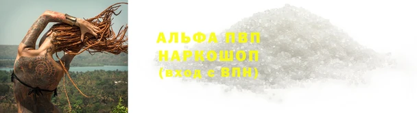 шишки Белоозёрский