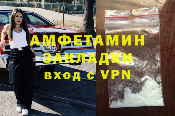 шишки Белокуриха