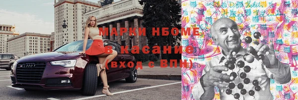 шишки Белоозёрский