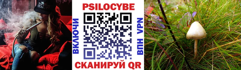 блэк спрут ссылка  Магас  Галлюциногенные грибы мухоморы 